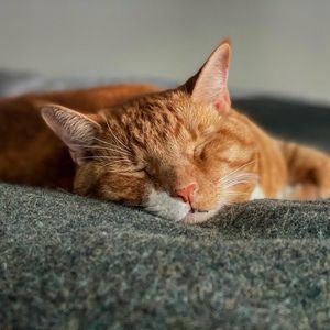 Meet your Posher, Gillian